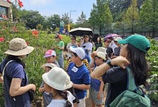 장수풍뎅이 관찰하고 옥수수 맛보고… 서울시, '어린이 자연학교' 운영