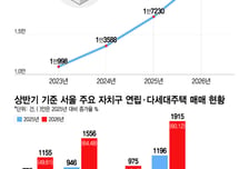 "재개발 땐 대박, 빌라라도 사자" 우르르...가격 쑥, 서민들 한숨 푹