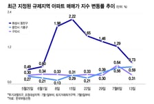 동탄·구리 꺾였지만..."옆동네 집값 들썩" 토허제 절반만 성공?