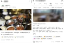 "너무 맛있어요" 다 가짜였다...19억 챙긴 '리뷰 공장' 딱 걸렸다