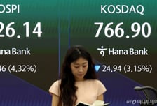 "삼전닉스 레버리지, 변동성 높였다"...카지노판 된 증시? 외신 쓴소리
