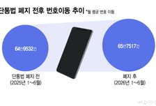 단통법 폐지 1년 '절반의 안착'…시장 안정 속 경쟁 효과는 미미