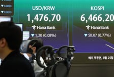 "삼전닉스 오르긴 오르는데..." 급락 뒤 소폭 상승, 개미 '나홀로' 매수