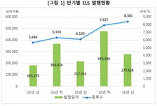 상반기 ELS·ELB 27조7618억 발행…전년비 27.7%↑
