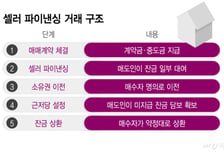 "근저당 최대 10억"…대출 막히자 비은행 자금조달 확산