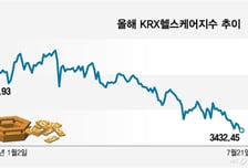 기대 컸는데 '삐끗'… K바이오 겹악재에 자금수혈 위기