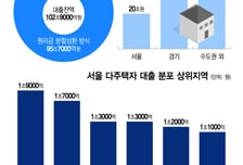 실수요자 울린 총량규제 부작용 해결되나...건전성 부담금, 다주택자 첫 타깃