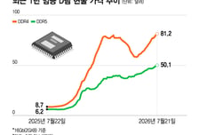 스마트폰·PC 성수기 온다…'피크아웃?' D램 가격 더 치솟아
