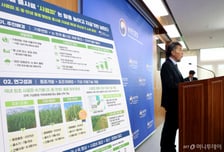 논에 벼 대신 풀 심는다…'사료피'가 전략작물 새 카드로
