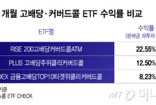 "또 사이드카?" 멀미 나는 '롤러코스피'...개미들, '여기'로 피난