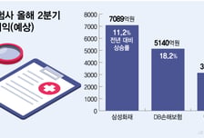 예실차 개선에 과열경쟁 피하니 '깜짝실적' 손보사… 하반기도 '청신호'