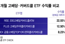 "개미 피난 갑니다" 롤러코스피에 지쳐...'여기로' 우르르