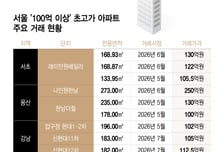 "여긴 정말 딴세상" 122억·250억 '신고가 속출'...현금부자만 웃는다
