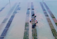 신안군, 신규 양식어장 개발로 어촌 활력 기대