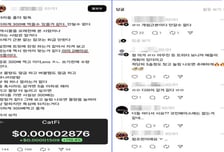 1000만원으로 4억원 '꿀꺽'…밈코인 '러그풀' 일당 1심서 '실형'