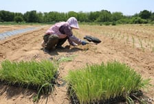 "세계 농지 절반, 단 0.1%가 차지했다"…FAO '토지 황폐화' 경고