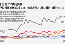 단일종목 레버리지 ETF, 거래대금 비중 정부 대책발표 후 되레 늘어