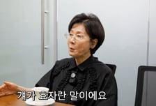 '230억 건물주' 박정수, 상속세에 깜짝…"집값 안올라도 괜찮아"