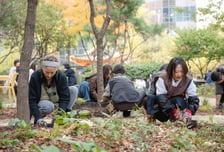 종로구, '정원사 마을 2.0' 프로젝트로 골목까지 정원 넓힌다