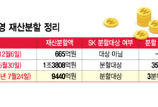 [표]1심·2심·파기환송심별 최태원·노소영 재산분할액