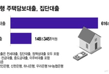 잔금대출 뿐 아니라 이주비·중도금도 '핀셋지원'..총량규제 1.5%는 유지