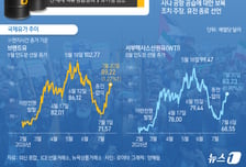 후티 "홍해 전면 폐쇄 아냐…사우디에 제한된 봉쇄"
