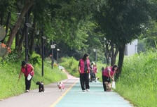 반려견 산책하며 쓰레기 줍고…강남구, '댕댕플로깅 자원봉사단' 출범