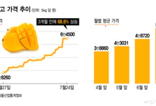 성심당도 "망고시루 조기종료"...망고값 세 달 만에 68% 껑충