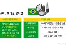 K뷰티 브라질 공략법…아모레 '헤어'·에이피알 '유통망'