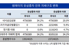 [더벨][다시 뛰는 썸에이지]오너·대표, 대주주 청약 물량 100% 소화하나