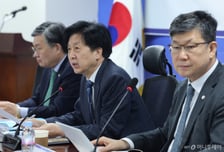 與 "단일종목 레버리지, 추가 대책 보류...상품성 낮추는 방향으로"