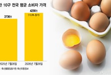 김밥 '알'맹이를 뺄 수도 없고…"계란 한판 1만원 육박" 자영업자 비명