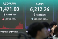 "465% 폭등" 창신메모리 쇼크...코스피 8% 급락, 또 '서킷브레이커'