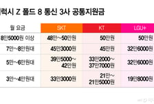 253만원 갤럭시 Z 폴드8, '이렇게' 사면 170만원...통신사 지원금 얼마?