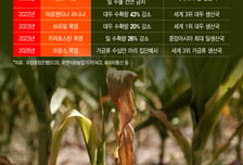 '폭염물가' 인도·태국 쌀값 폭등…"세계농업 500조 증발"