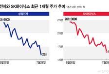"내 주식은 왜 내려"...삼전닉스 빠지면 코스피 전체가 '출렁'