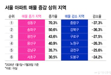 "살 만한 집 살래요"… 노도강 집값 들썩