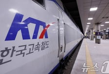 순천서 멈춘 KTX, 찜통 열차 안 2시간 대기..."승객들 구토에 고열"