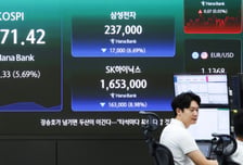 삼전닉스에 올인..."7억→2억, 한 달 만에 5억 증발" 하소연한 은행원