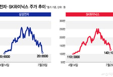 20만전자·140만닉스, PER 고작 3배 남짓..."주가 지나치게 낮다"