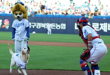 [포토] '마이볼!' 구조견 토백이