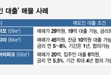 대출 막힌 매수인, 집값 지키고픈 매도인 '맞손'…강남 파고든 新거래법