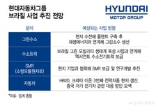 현대차, 브라질에 '수소' 생태계 꾸린다