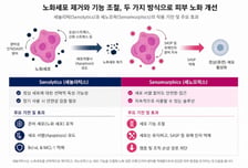 지에프씨생명과학, '식물 유래 피부노화세포 제거 소재연구' 국제학술지 게재