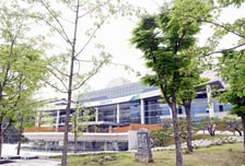경기도, 소나무재선충병 피해 수준별 맞춤 방제 추진