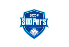 "광주 배구 증발 막았다"…SOOP 수퍼스, 연고 승계