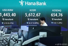 "이 정도 폭락은 심하지" 코스피 반등 시도...'공포의 7월' 뒤엔 다시 뛸까