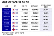 한국·일본만 유독 왜…키옥시아·SK하닉 '반토막' 될때 TSMC -12%