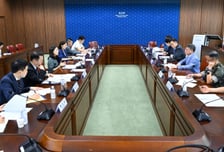 정부, 동명부대·한빛부대 파견연장 추진…"국제 평화 기여"