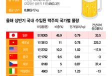 수입량 1년새 1.5만톤↑… 다시 잔 채우는 日맥주
